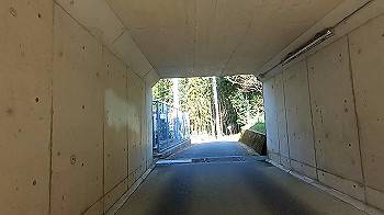 gx011633.mp4_snapshot_01.08_thumb.jpg