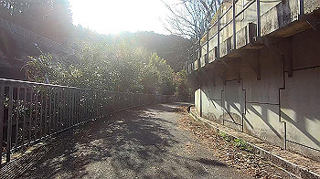 gx011633.mp4_snapshot_05.39_thumb.jpg