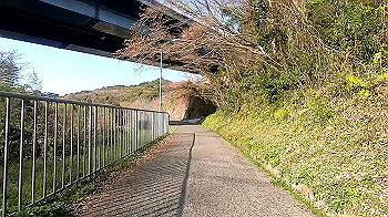 gx011633.mp4_snapshot_06.34_thumb.jpg