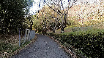 gx011633.mp4_snapshot_07.14_thumb.jpg