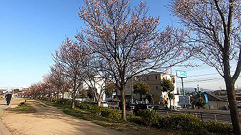 gx011636.mp4_snapshot_00.49_thumb.jpg