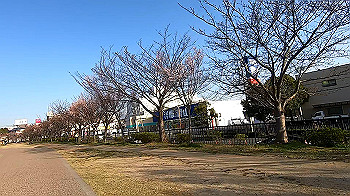 gx011636.mp4_snapshot_00.57_thumb.jpg