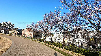 gx011636.mp4_snapshot_01.18_thumb.jpg