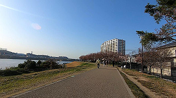 gx011636.mp4_snapshot_01.50_thumb.jpg