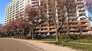 gx011636.mp4_snapshot_02.26_thumb.jpg