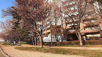 gx011637.mp4_snapshot_00.11_thumb.jpg