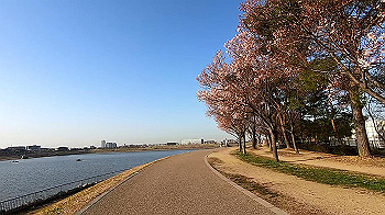 gx011637.mp4_snapshot_00.26_thumb.jpg