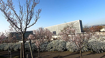 gx011637.mp4_snapshot_03.54_thumb.jpg