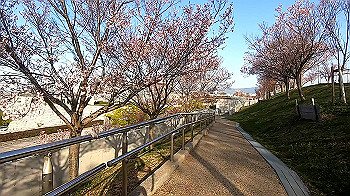 gx011637.mp4_snapshot_05.10_thumb.jpg