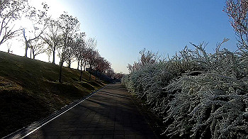 gx011637.mp4_snapshot_07.47_thumb.jpg