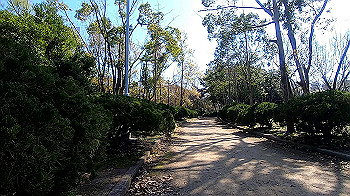 gx011640.mp4_snapshot_00.00_thumb.jpg