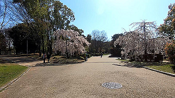 gx011640.mp4_snapshot_00.36_thumb.jpg