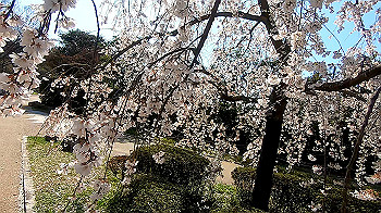 gx011640.mp4_snapshot_00.48_thumb.jpg