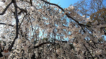 gx011640.mp4_snapshot_00.54_thumb.jpg