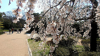 gx011640.mp4_snapshot_01.01_thumb.jpg
