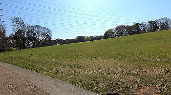 gx011641.mp4_snapshot_00.35_thumb.jpg