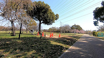 gx011641.mp4_snapshot_00.53_thumb.jpg