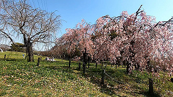 gx011641.mp4_snapshot_01.18_thumb.jpg