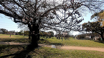 gx011642.mp4_snapshot_00.14_thumb.jpg