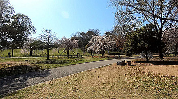 gx011642.mp4_snapshot_00.57_thumb.jpg