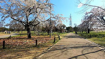 gx011642.mp4_snapshot_01.18_thumb.jpg
