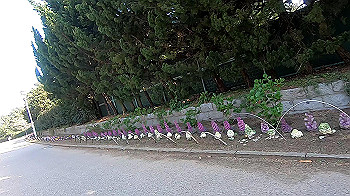 gx011642.mp4_snapshot_03.25_thumb.jpg
