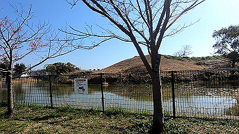 gx011644.mp4_snapshot_00.00_thumb.jpg