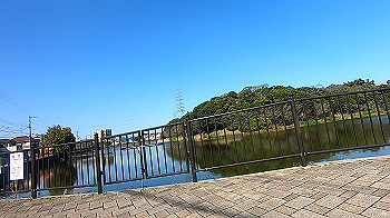 gx011644.mp4_snapshot_03.58_thumb.jpg