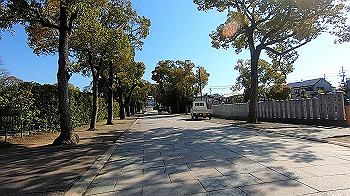 gx011645.mp4_snapshot_00.28_thumb.jpg