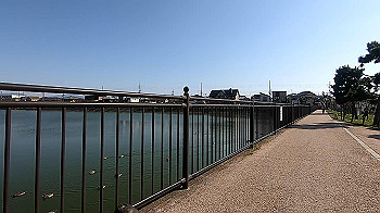 gx011646.mp4_snapshot_01.03_thumb.jpg