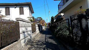 gx011646.mp4_snapshot_02.23_thumb.jpg