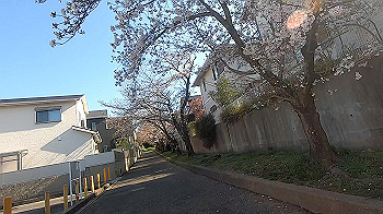 gx011649.mp4_snapshot_07.46_thumb.jpg
