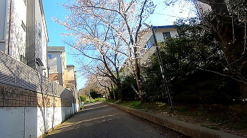 gx011649.mp4_snapshot_07.55_thumb.jpg