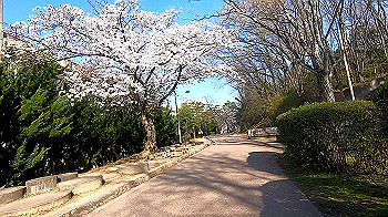 gx011649.mp4_snapshot_09.40_thumb.jpg