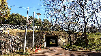 gx011649.mp4_snapshot_11.56_thumb.jpg