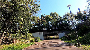 gx011649.mp4_snapshot_12.06_thumb.jpg