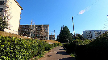 gx011649.mp4_snapshot_12.23_thumb.jpg