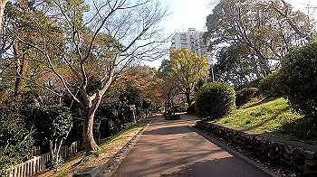 gx011649.mp4_snapshot_13.35_thumb.jpg