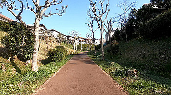 gx011649.mp4_snapshot_15.34_thumb.jpg