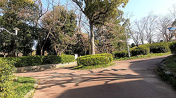 gx011650.mp4_snapshot_01.23_thumb.jpg