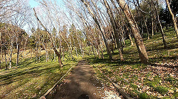 gx011650.mp4_snapshot_03.33_thumb.jpg