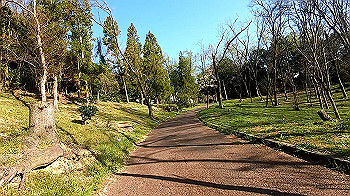 gx011650.mp4_snapshot_03.56_thumb.jpg