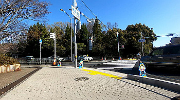 gx011650.mp4_snapshot_04.41_thumb.jpg