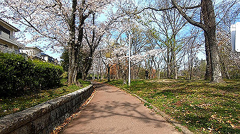 gx011651.mp4_snapshot_00.01_thumb.jpg