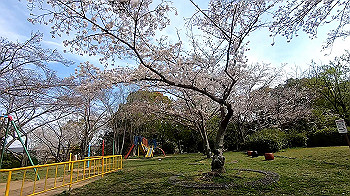 gx011651.mp4_snapshot_02.22_thumb.jpg