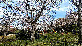 gx011651.mp4_snapshot_03.15_thumb.jpg