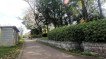 gx011652.mp4_snapshot_00.17_thumb.jpg