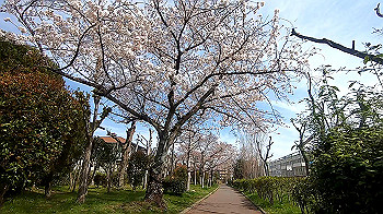 gx011652.mp4_snapshot_01.03_thumb.jpg