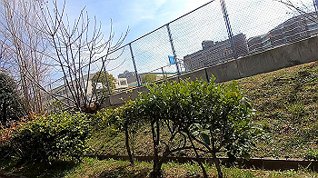 gx011652.mp4_snapshot_01.13_thumb.jpg