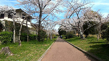 gx011652.mp4_snapshot_01.52_thumb.jpg